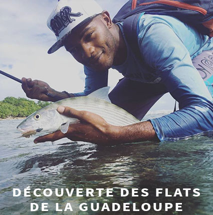 Guide de pêche Guadeloupe sur les flats